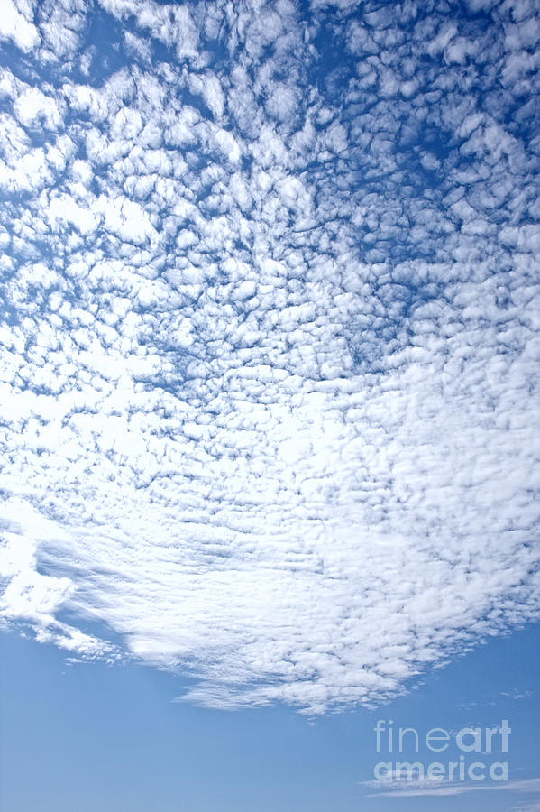 Altocumulus Stratiformis Perlucidus Cloud Photograph By Jan Brons ...