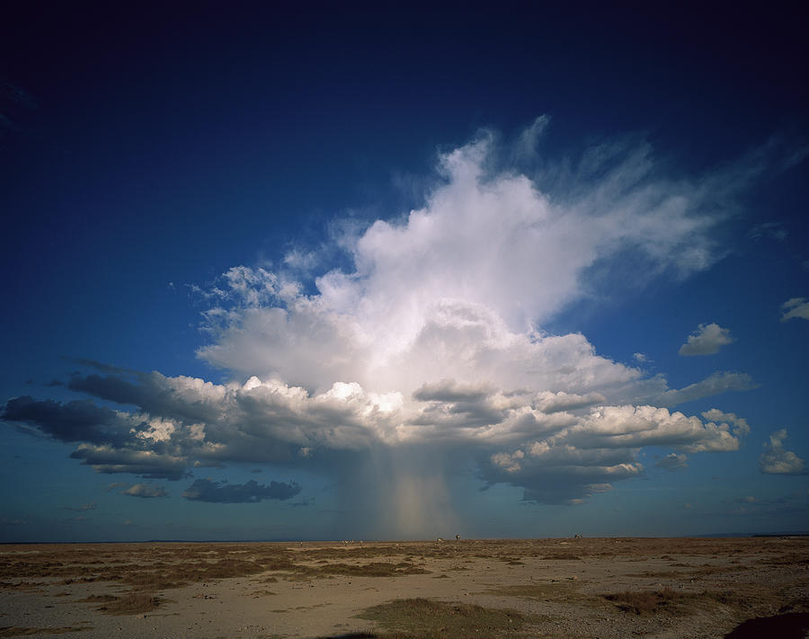 Altocumulus Thunder Head Dumping Rain Photograph by Gerry Ellis
