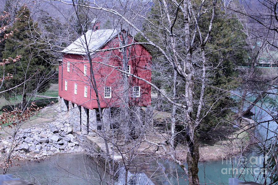 Alvin York Mill Photograph by Dwight Cook