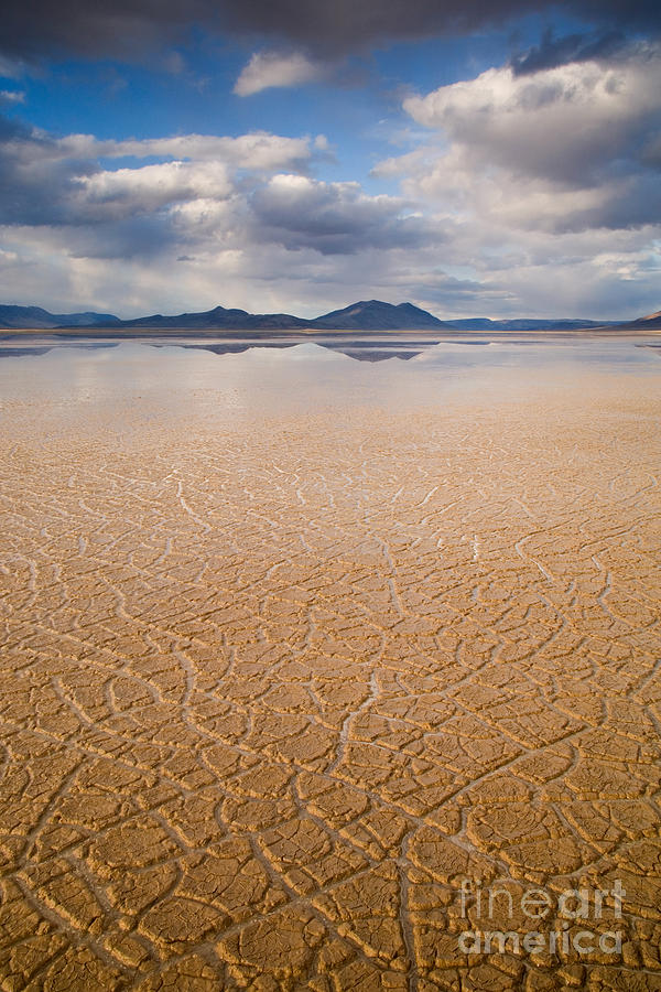 Alvord Desert, Or Photograph by Sean Bagshaw