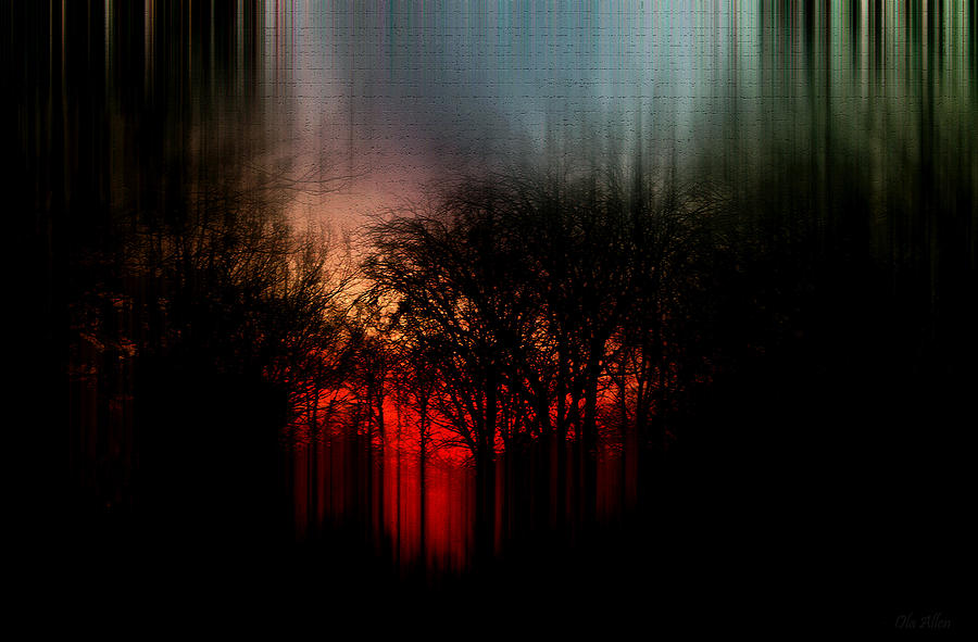 Tree Photograph - Always Burning by Ola Allen