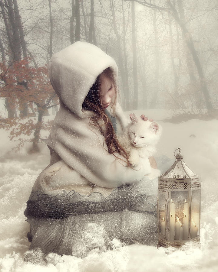 Winter Photograph - Always loving you by Cindy Grundsten