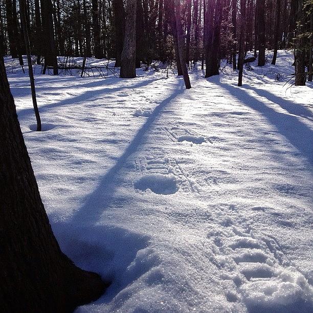 Snowshoeing Photograph - Always Nice To Take A Look Behind You by Craig Szymanski