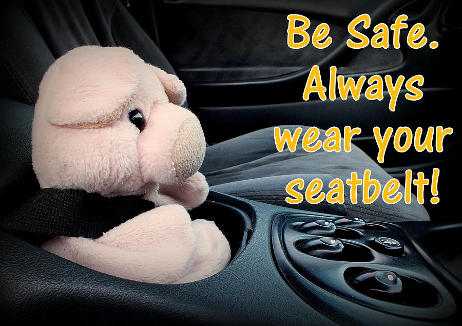 Always Wear Your Seatbelt Photograph by Piggy           
