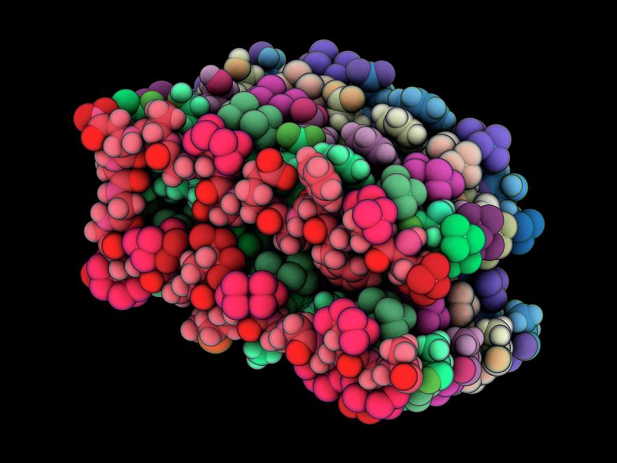 Alzheimer's Amyloid-beta Fibrils Photograph By Laguna Design/science ...