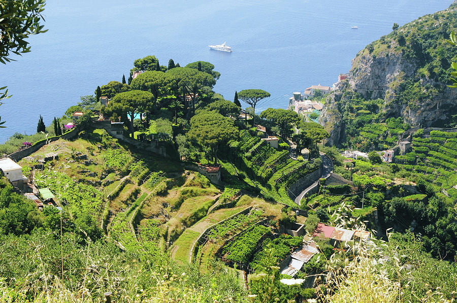 Amalfi Coast Terraces Photograph by Digistu