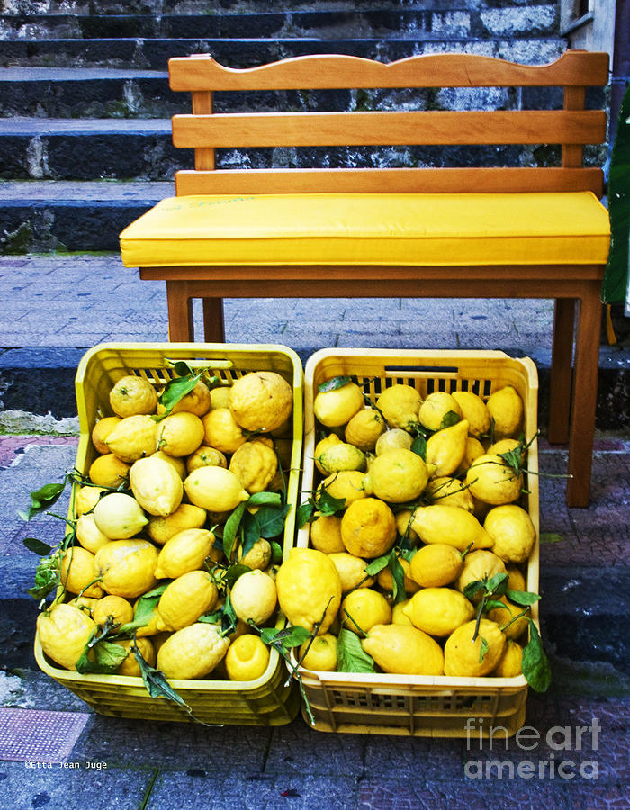 Amalfi Lemons Photograph by Etta Jean Juge