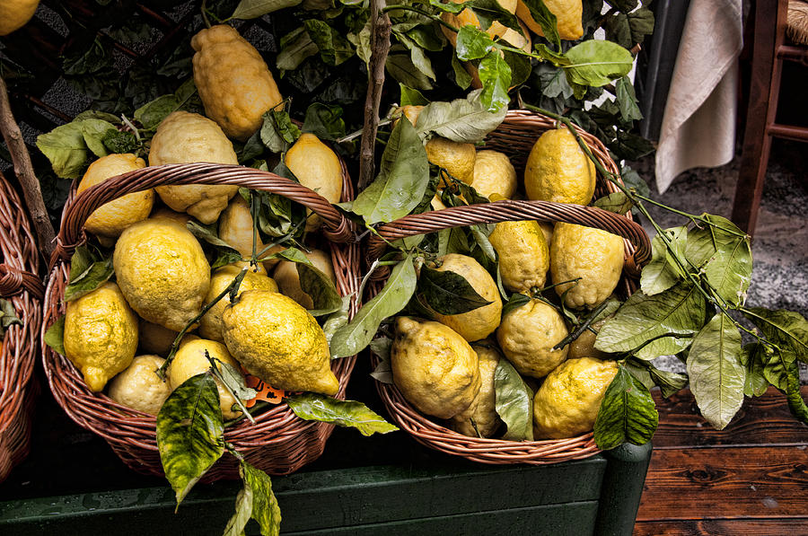 Amalfi Lemons Photograph by Antique Images | Fine Art America
