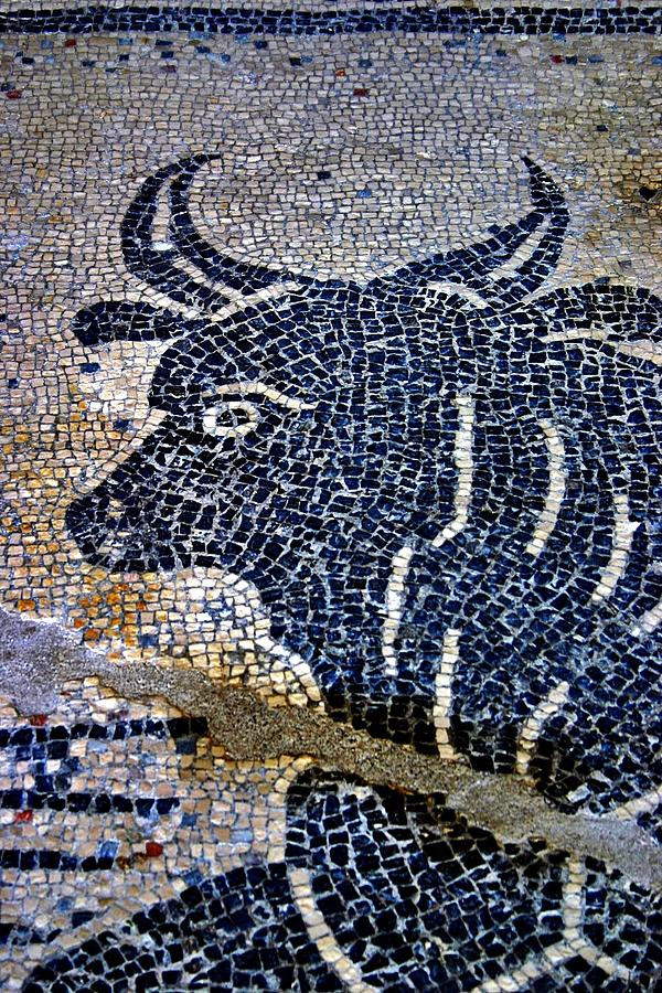 Amalfi Mosaic Bull Photograph by Henry Kowalski