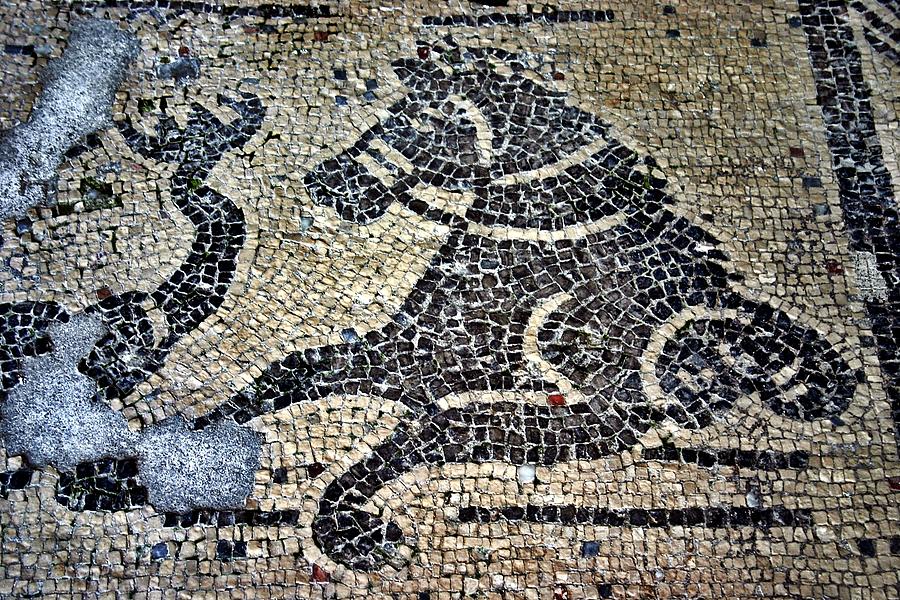 Amalfi Mosaic Horse Photograph by Henry Kowalski