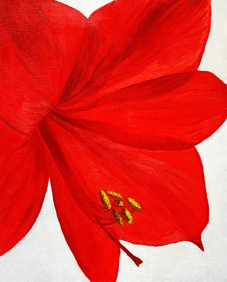 Amaryllis Flower Painting by Masha Batkova