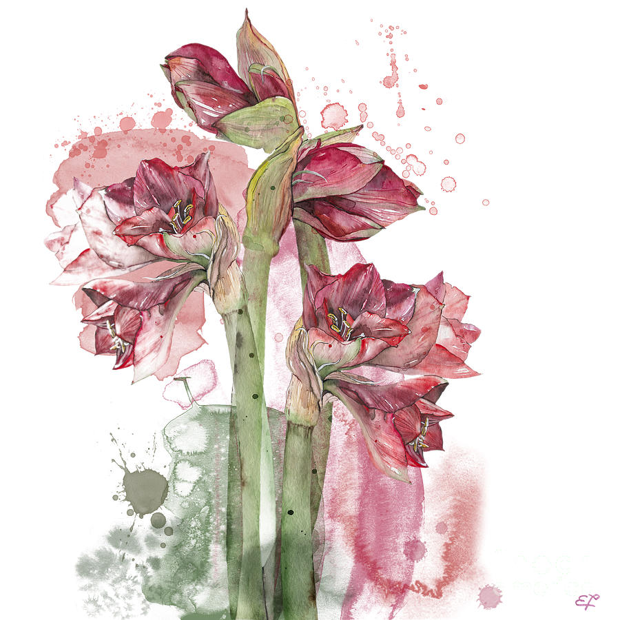 Amaryllis Flowers - 3. - Elena Yakubovich Painting by Elena Daniel Yakubovich