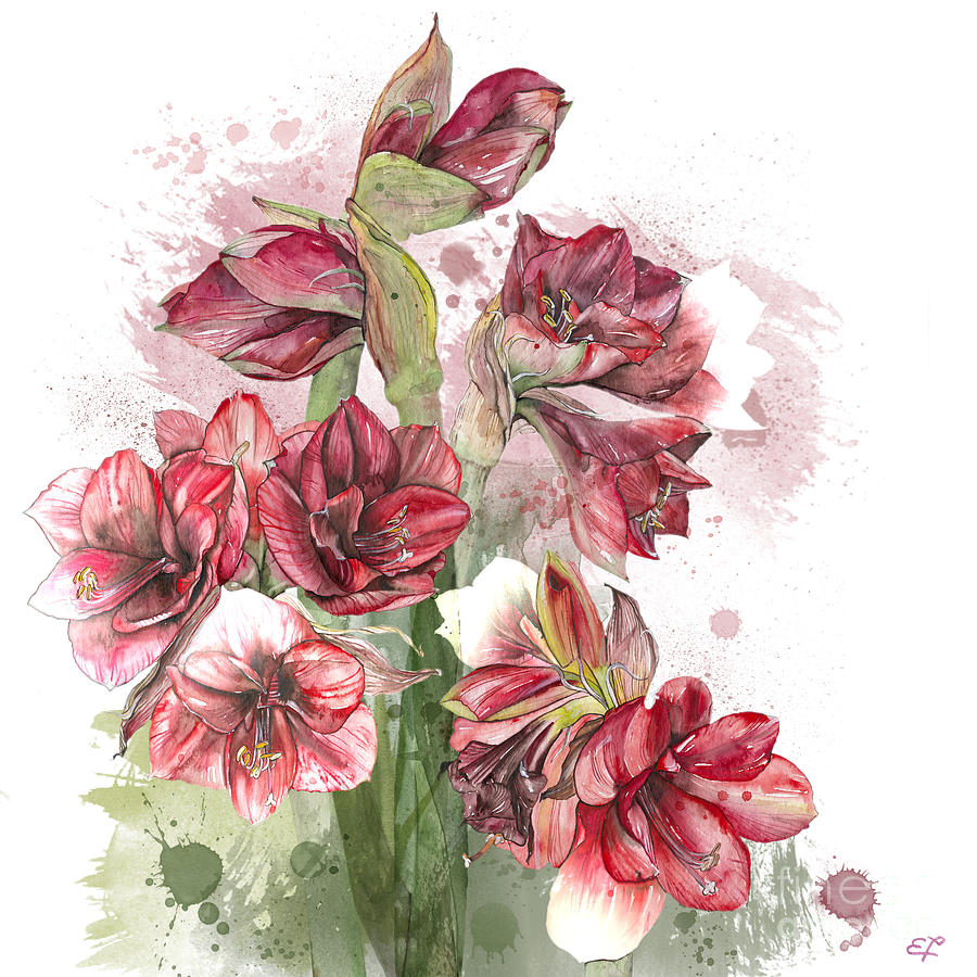 Butterfly Painting - Amaryllis Flowers - 4. - Elena Yakubovich by Elena Daniel Yakubovich