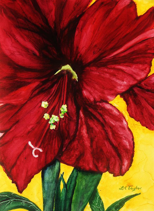 Amaryllis in Red Painting by Lil Taylor