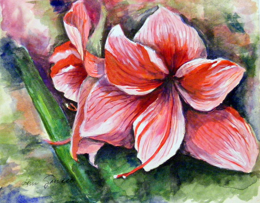 amaryllis painting