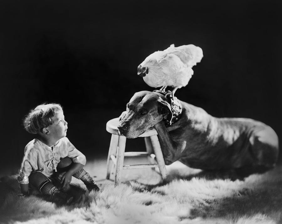 Animal Photograph - Amazing circa 1920 by Aged Pixel