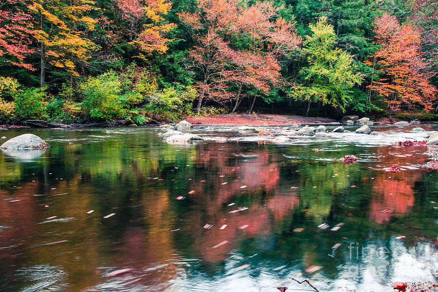 Fall Photograph - Amazing fall foliage along a river in New England by Edward Fielding