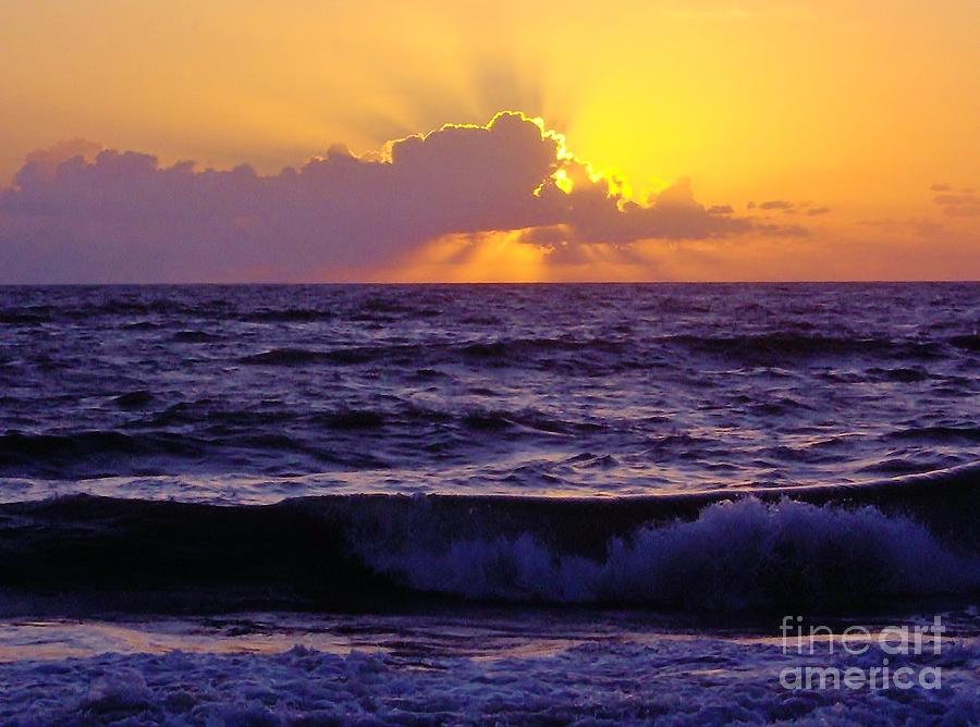 Amazing - Florida - Sunrise Photograph by D Hackett