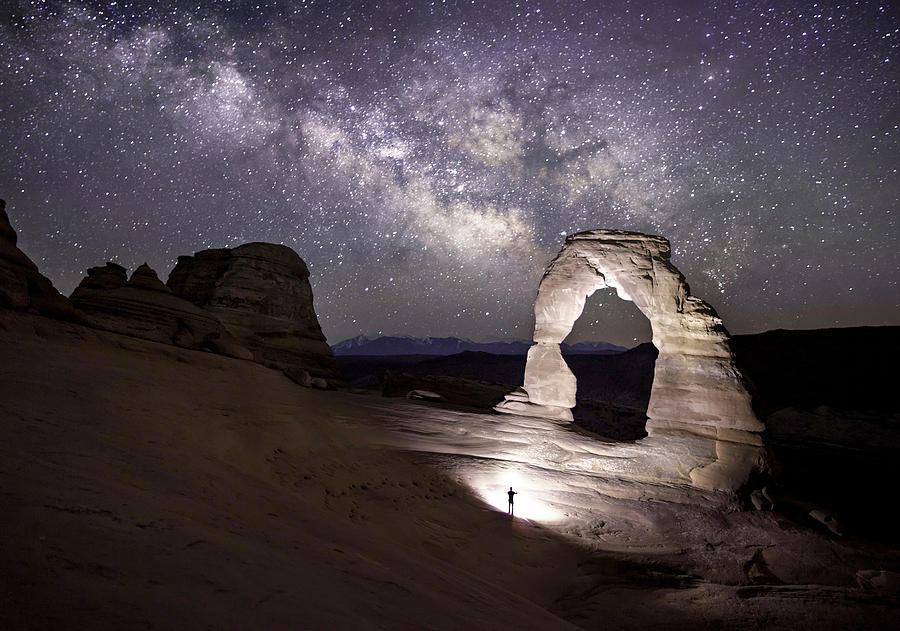 Amazing Gaze Photograph by Scott Ackerman - Fine Art America