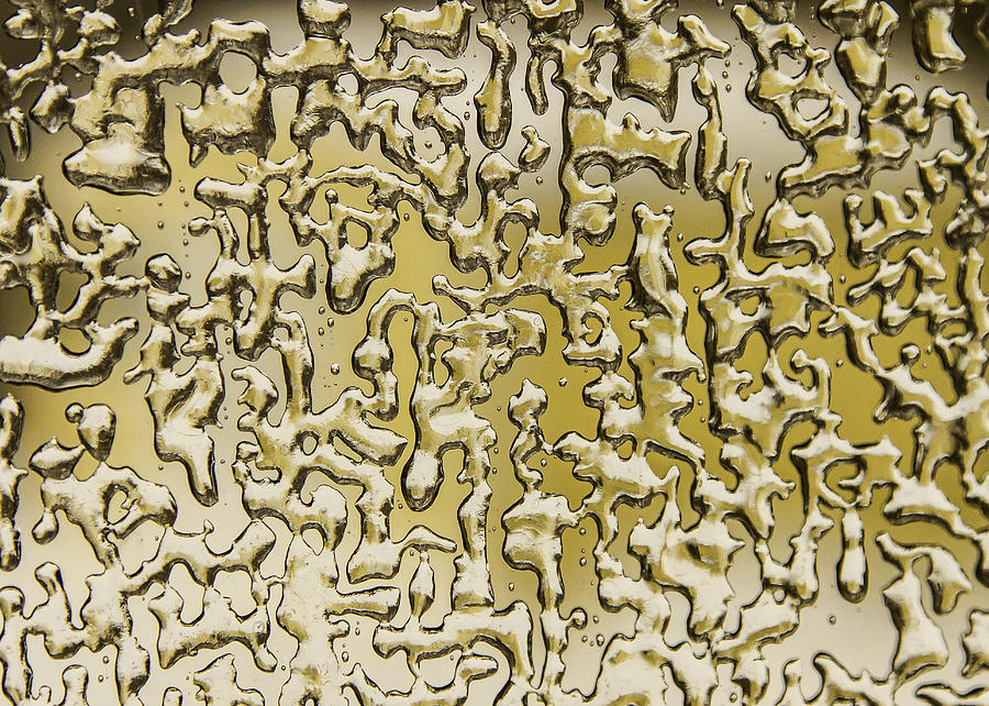 Amazing Gold Maze Photograph by Jerry Nettik
