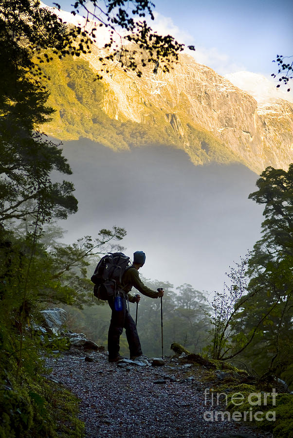 Jungle Photograph - Amazing Hiking by THP Creative