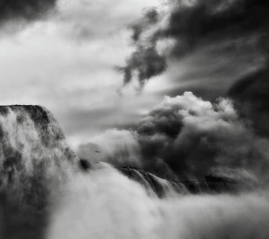 Buffalo Photograph - Amazing Power And Beauty by Yvette Depaepe