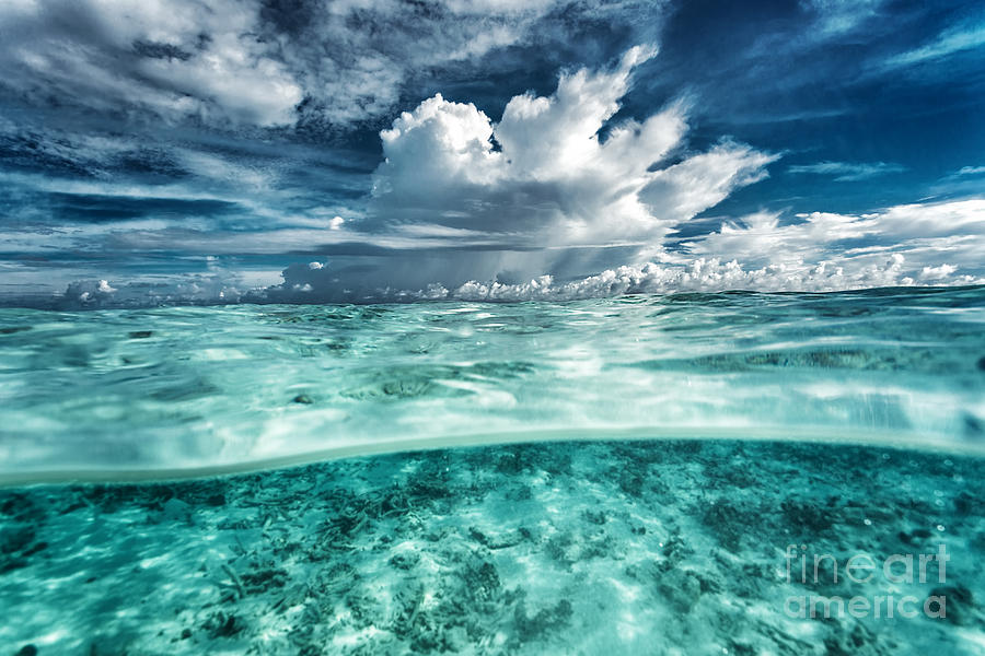 Amazing seascape Photograph by Anna Om