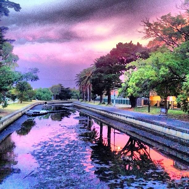 Tree Photograph - #amazing #sunset #elwood #canal by Paul Jeans