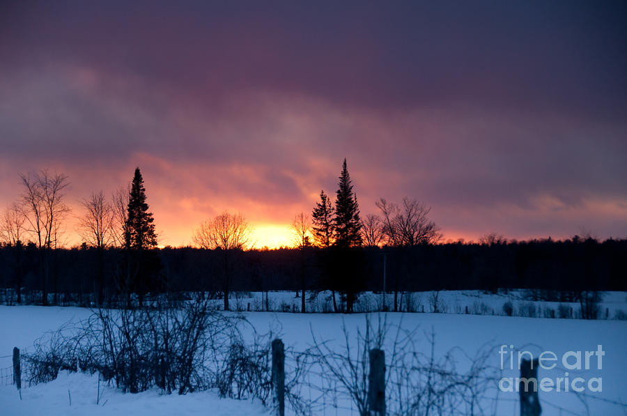 Amazing Winter Sunset Photograph by Cheryl Baxter
