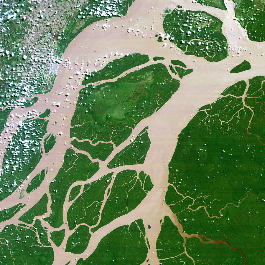 Amazon Delta Photograph by Planetobserver
