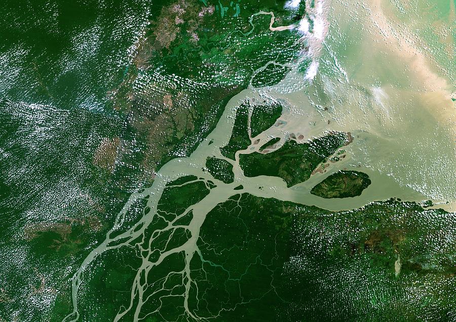 Amazon Delta Photograph by Planetobserver/science Photo Library