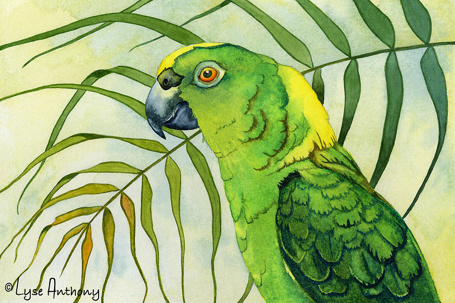 Bird Painting - Amazon by Lyse Anthony