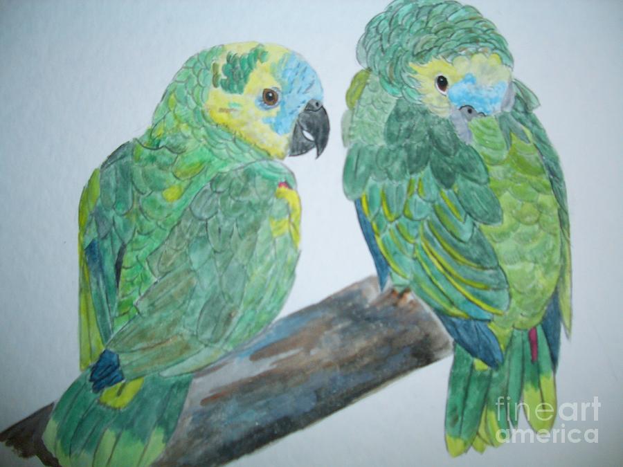 Bird Painting - Amazon Pair Parrot Painting by Nami ODonnell