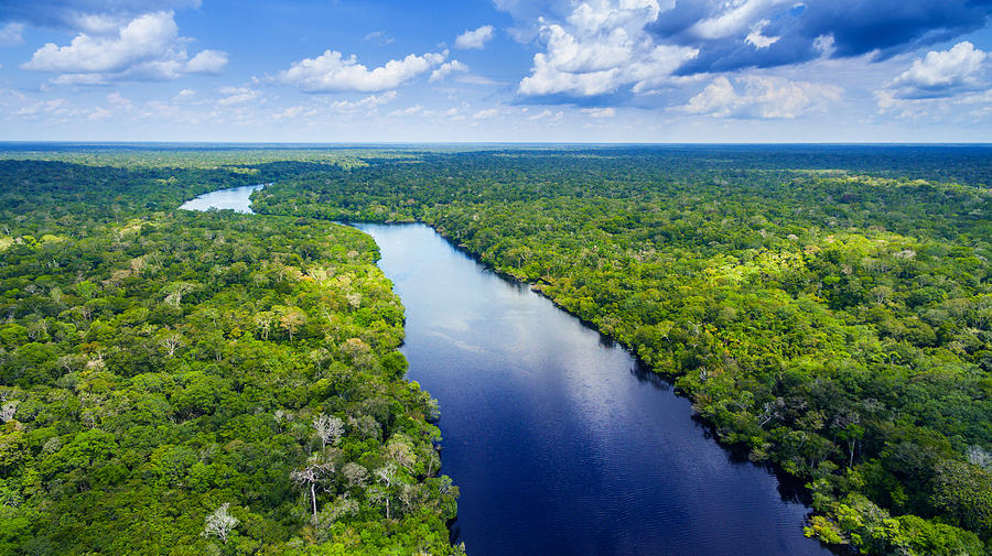 Amazon river in Brazil Photograph by Mantaphoto