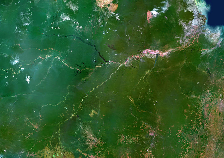 Amazon River Photograph by Planetobserver/science Photo Library