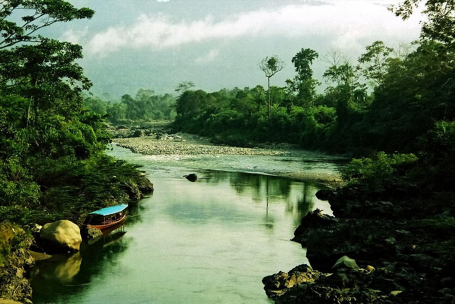 Nature Photograph - Amazon River Scene by Aidan Moran