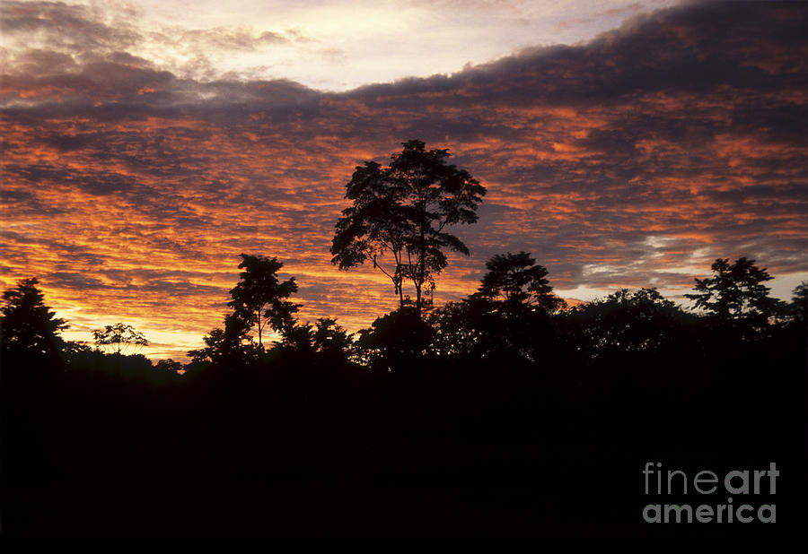Amazon sunset Photograph by James Brunker