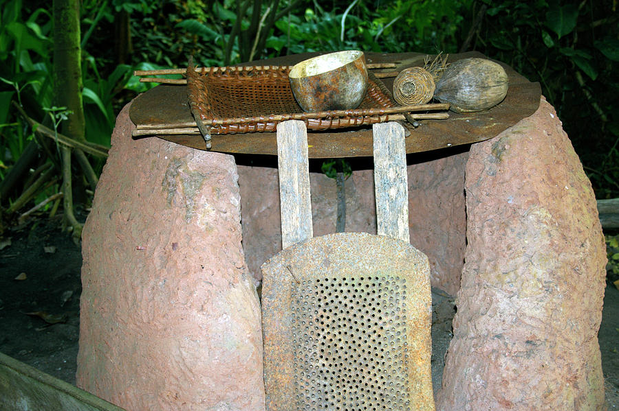 Amazonian Oven Photograph by Dr Morley Read/science Photo Library