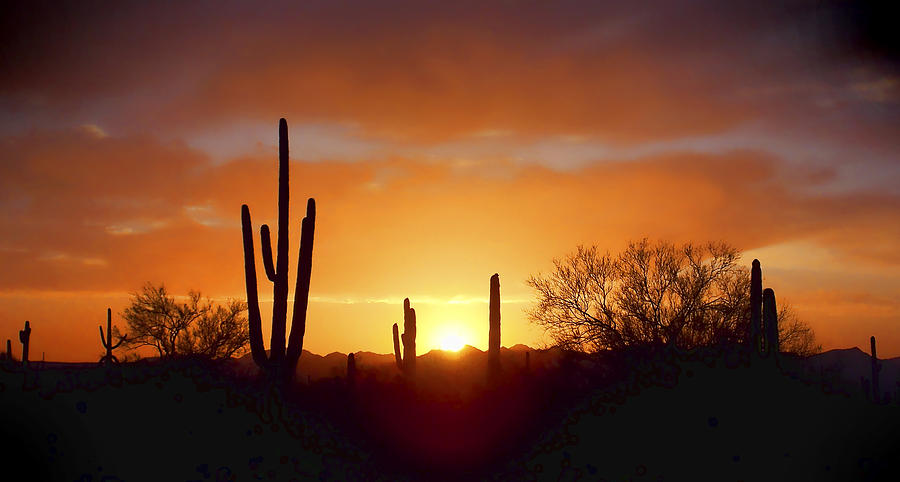 Amber Dusk Photograph by Ryan Seek - Fine Art America