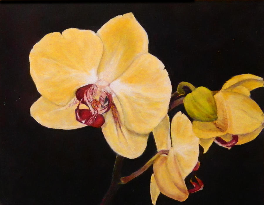 Amber Orchids Painting by Sandra Nardone