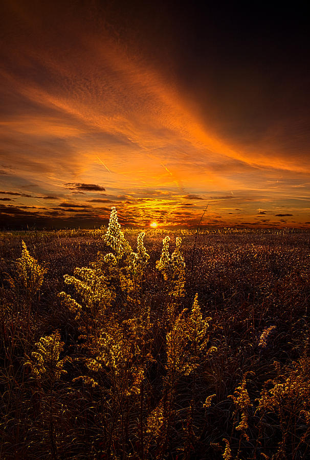Landscape Photograph - Amber by Phil Koch