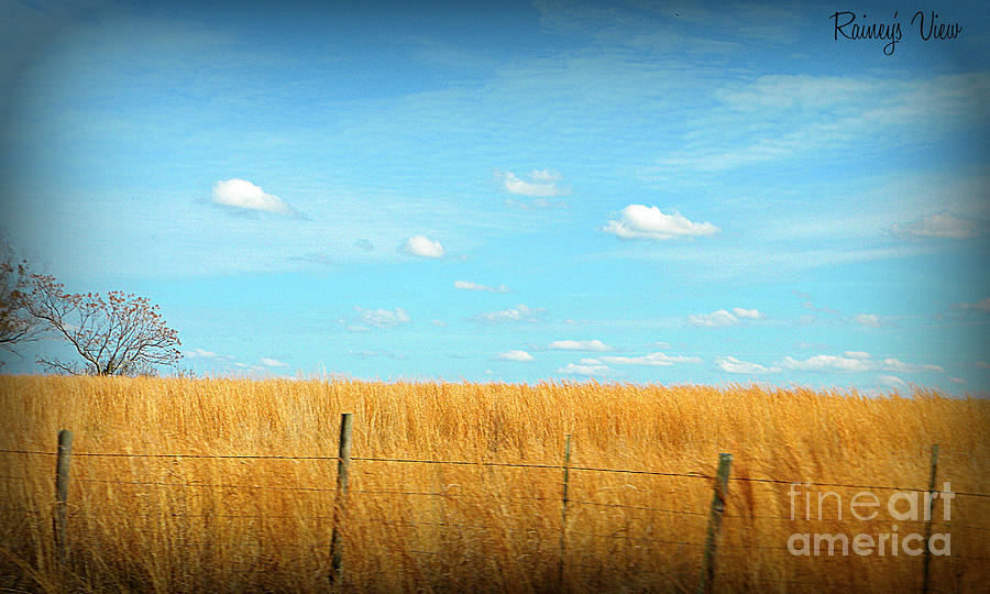 Landscape Photograph - Amber Waves and Blue Skies by Lorraine Heath