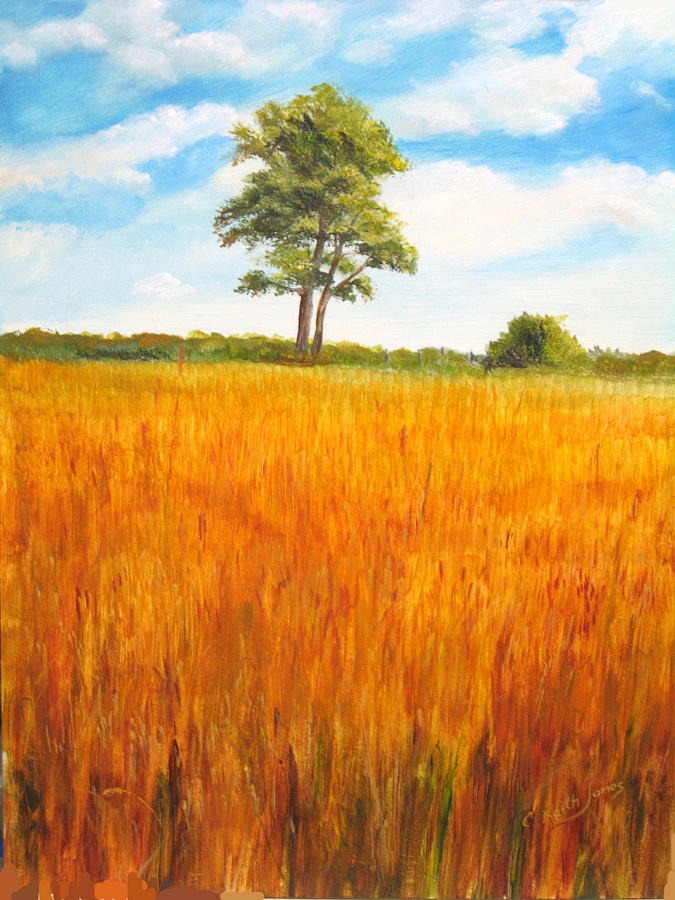 Amber Waves of Grain Painting by C Keith Jones - Fine Art America