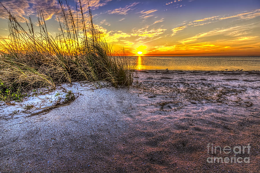Sunset Photograph - Ambience Of The Gulf by Marvin Spates