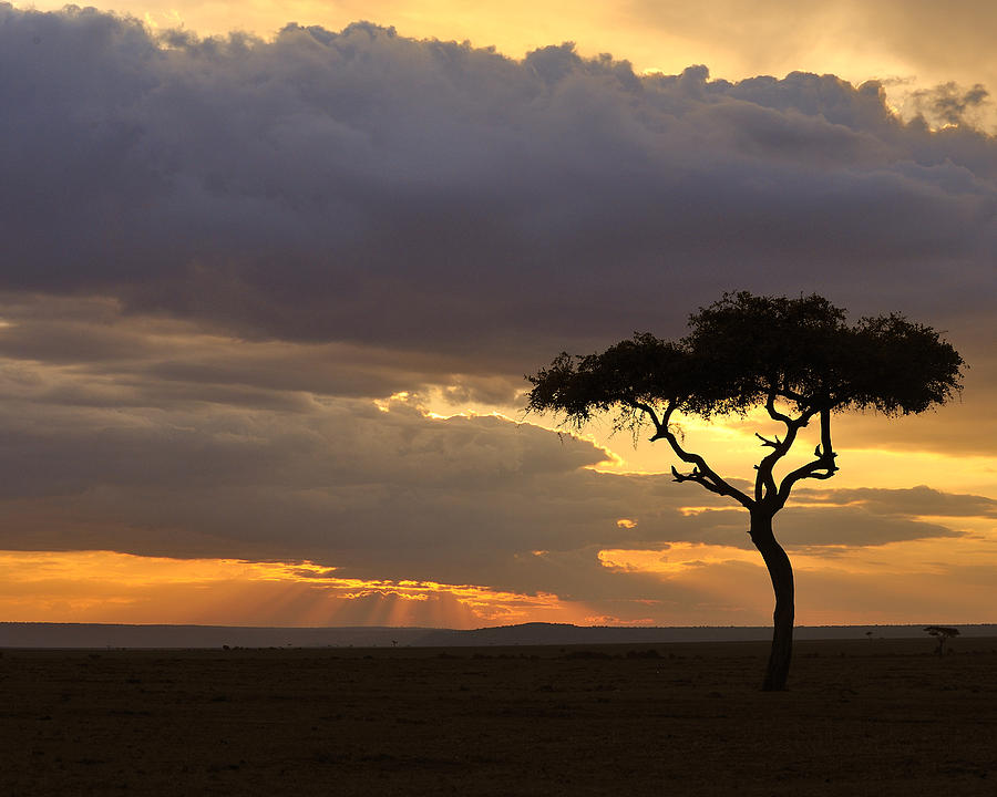 Amboseli Sunset Photograph by Tony Beck