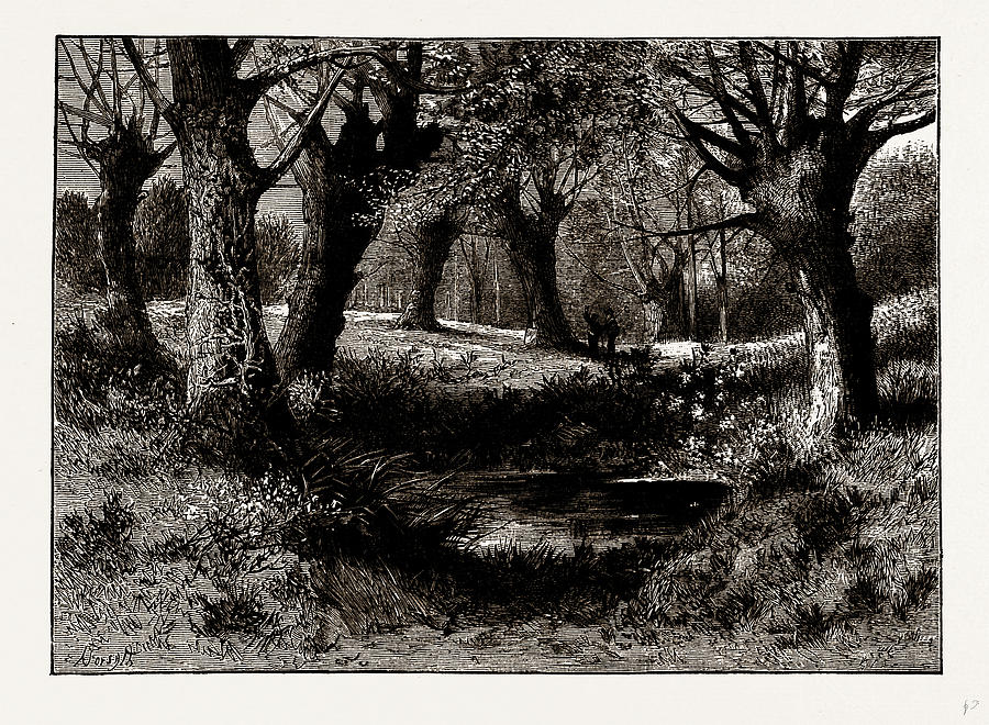 Ambresbury Banks, Uk Drawing by Litz Collection - Fine Art America