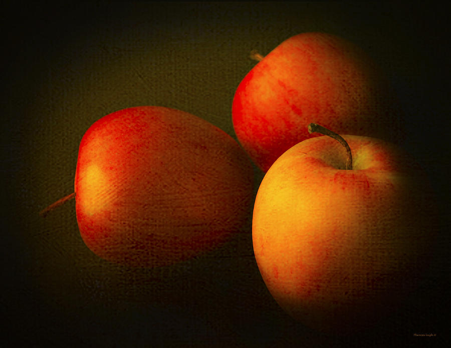 Ambrosia Apples Photograph by Theresa Tahara