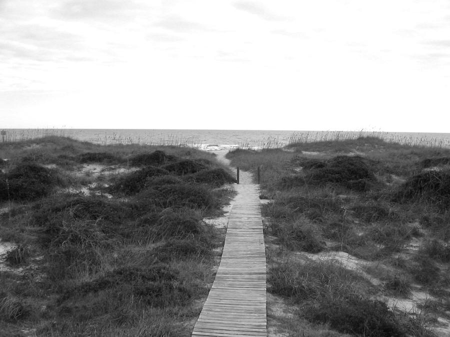 Amelia Island Beach 1 Photograph by Denise Mazzocco - Fine Art America