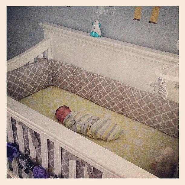 Amelia Napped In Her Crib For The First Photograph by Lauren Mccullough