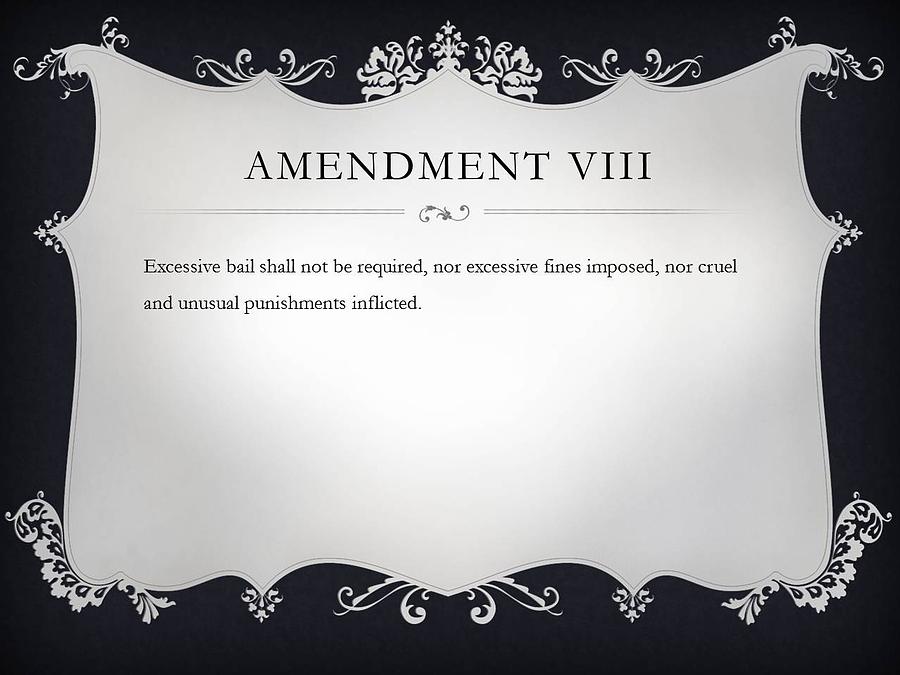Amendment VIII Digital Art by Ron Hedges Pixels